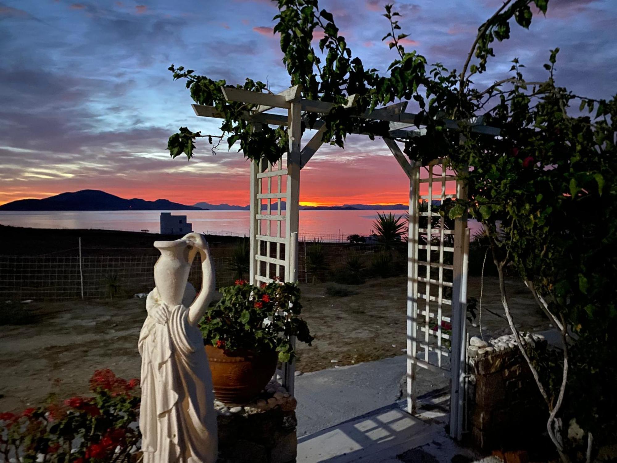 Anatoli Studios Schoinoussa Dış mekan fotoğraf