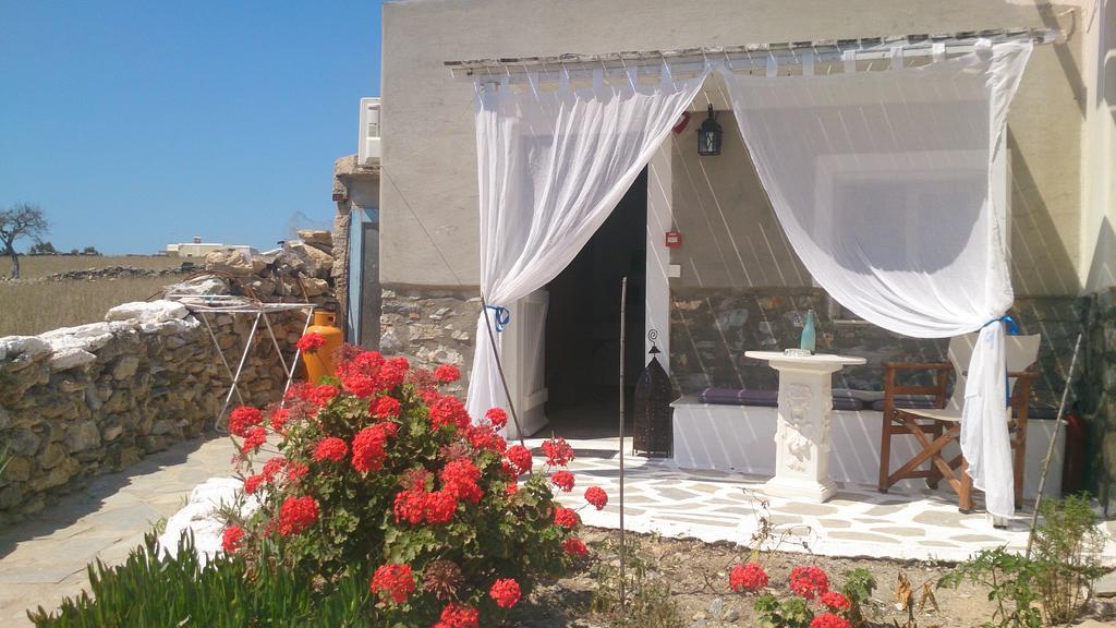 Anatoli Studios Schoinoussa Dış mekan fotoğraf