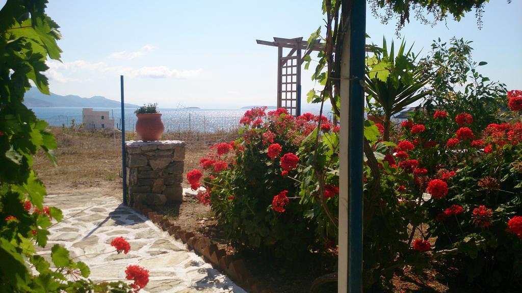 Anatoli Studios Schoinoussa Dış mekan fotoğraf